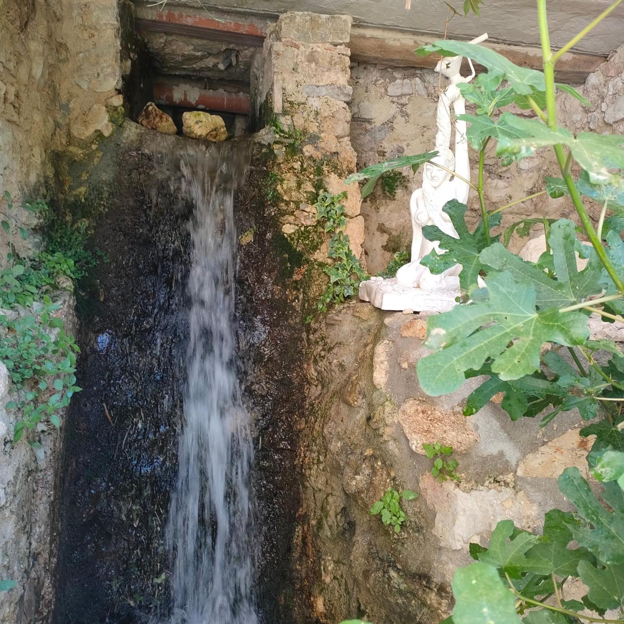 Umbria Valnerina , Il Tartuffo, Near Spoleto Apartment Scheggino Exterior photo